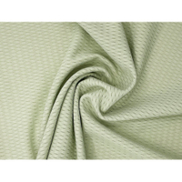 Hot Selling 160GSM 81% Nylon 19% Spandex Jacquard Fabric Stretch Knitted Swimwear Fabric
